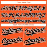 baltimore_0026_a5ebd6d3-5f31-4c8f-9b86-0c48e36325ad
